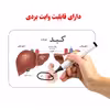 فلش کارت آموزش آموزشی آشنایی با بدن انسان انتشارات اندیشه کهن