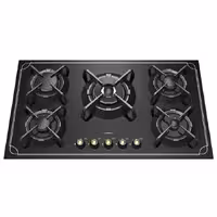 گاز صفحه ای رابیتس RG-541