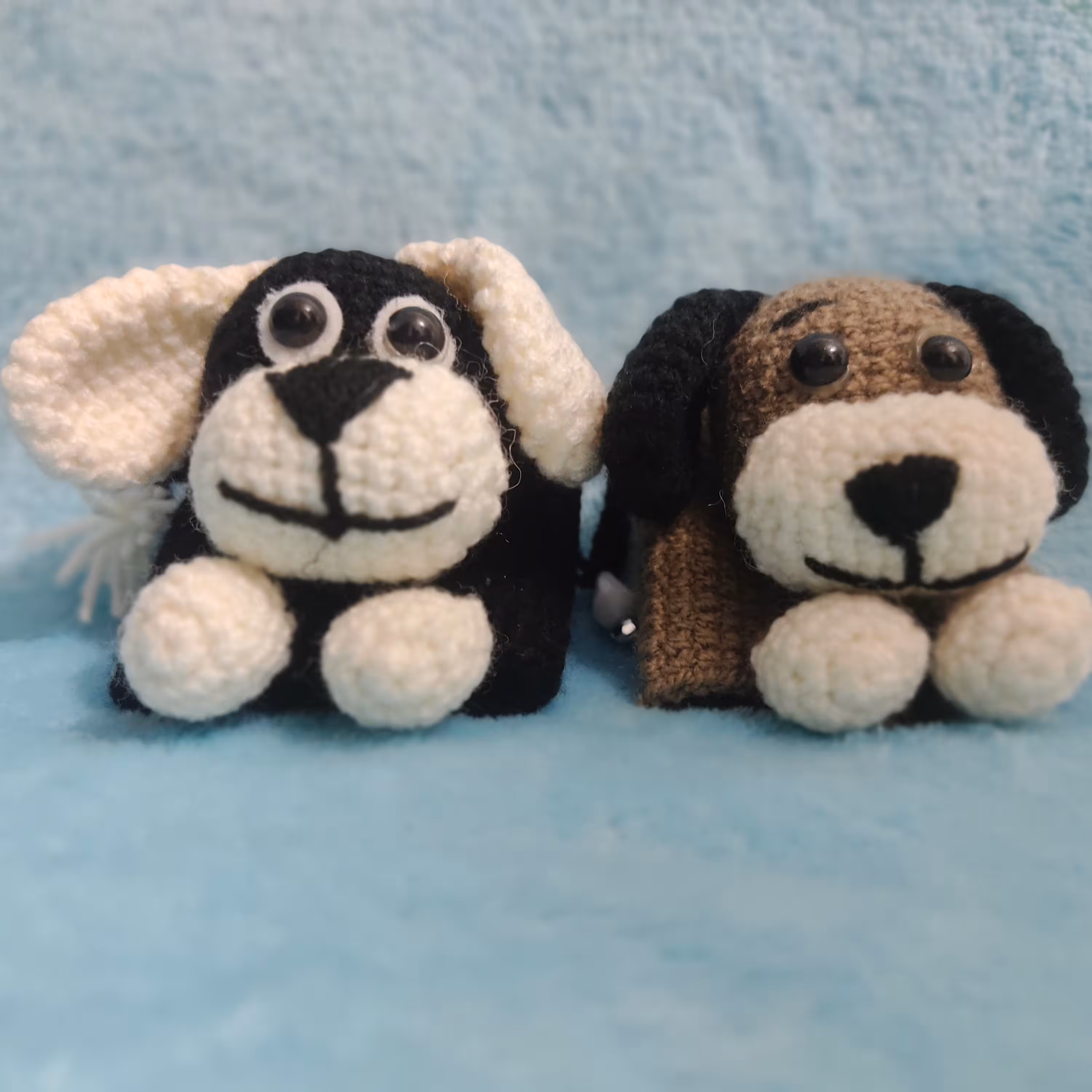 جا سوییچی سک 