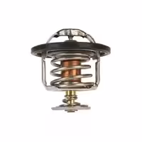 ترموستات جک J4