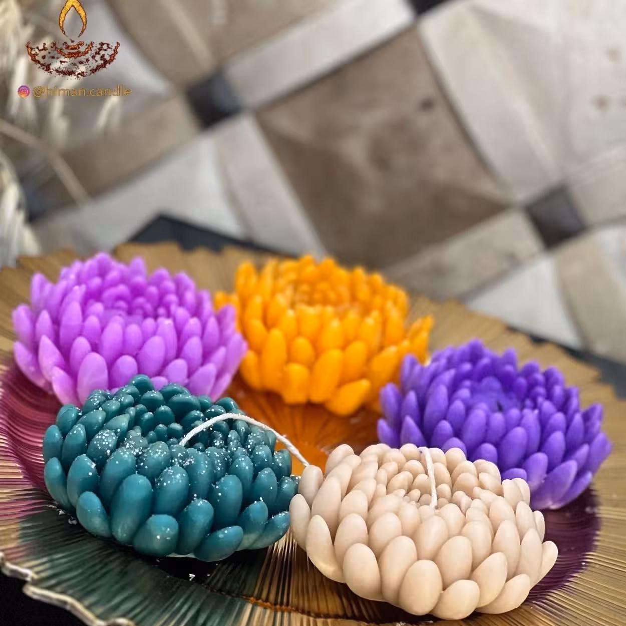 شمع گل داوودی 