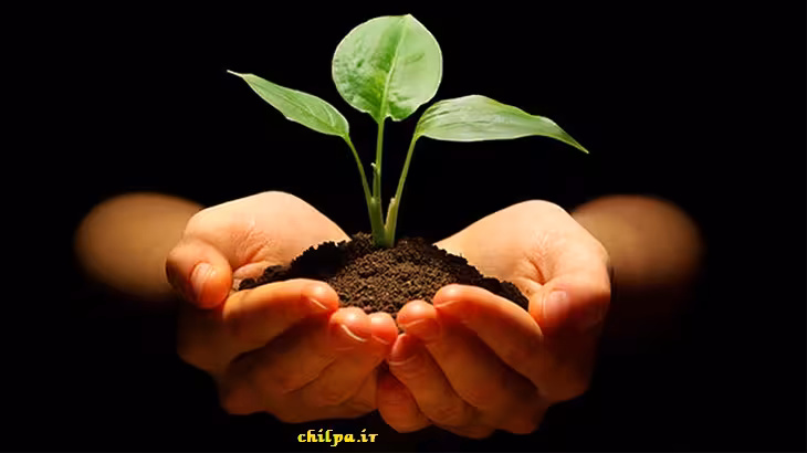 تحقیق نقش گیاهان در زندگی انسان ها - چیلپا