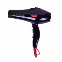 سشوار حرفه ای پرومارون مدل RL-8808