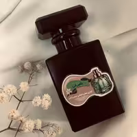 عطر جیبی 30 گرمی مدل تامی تی