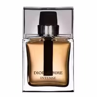 عطر ادکلن دیور هوم اینتنس | Dior Homme Intense