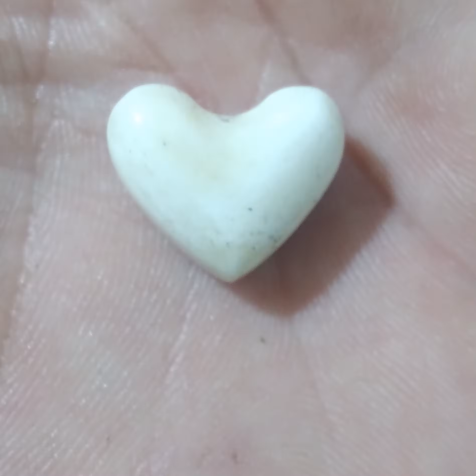 قلب.  استخوان شتر   