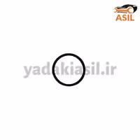اورینگ سوزن انژکتور 405 طرح ورسی
