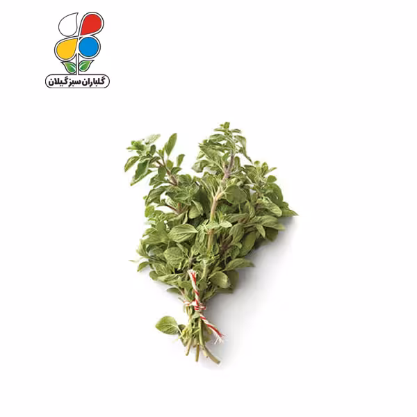 بذر مرزنجوش