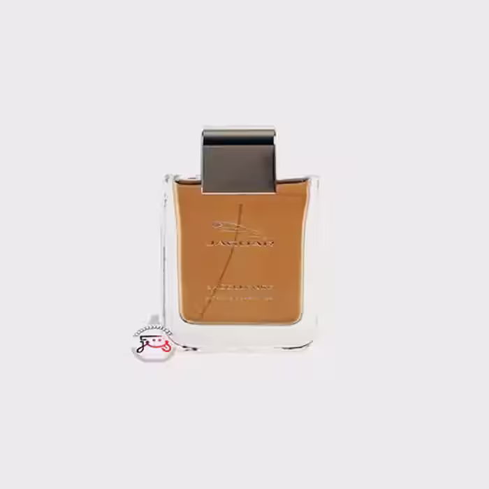 عطر ادکلن جگوار اکسلنس اینتنس | excellence intense