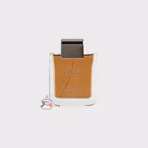عطر ادکلن جگوار اکسلنس اینتنس | excellence intense