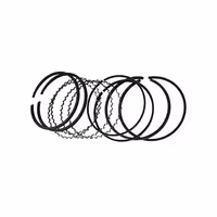 رینگ پیستون موتور استاندارد لیفان 620 (1800)