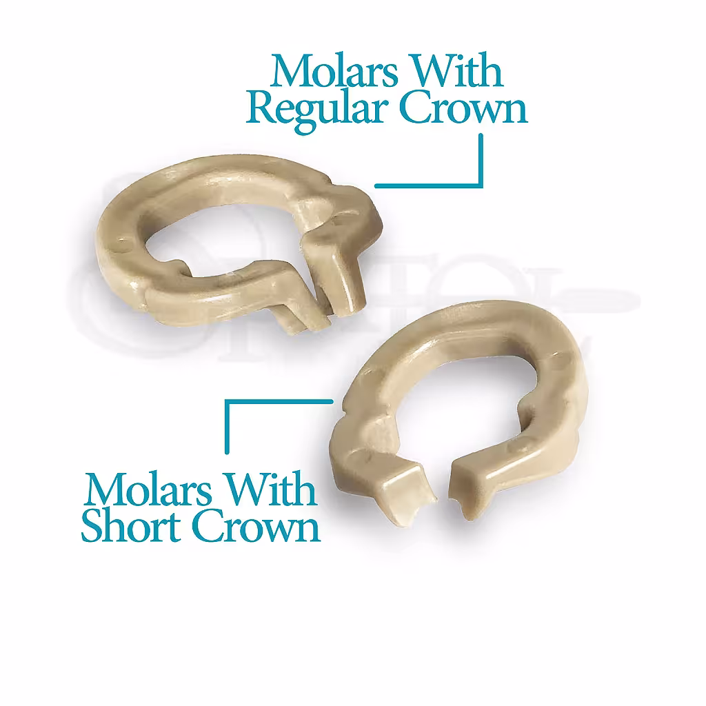 رینگ سکشنال رزینی resin sectional ring برند Zt Dental