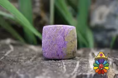 استیچ تیت (اتلانتیسیت)