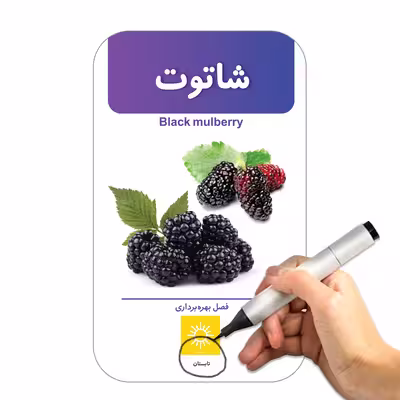 فلش کارت آشنایی با میوه‌ها و سبزیجات انتشارات اندیشه کهن