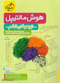 خرید کتاب هوش مالتیپل ششم به هفتم