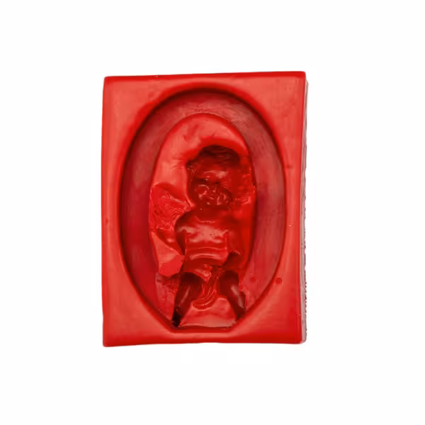 ملد حروف O فرشته دار