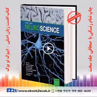 Neuroscience 7th Edition Purves