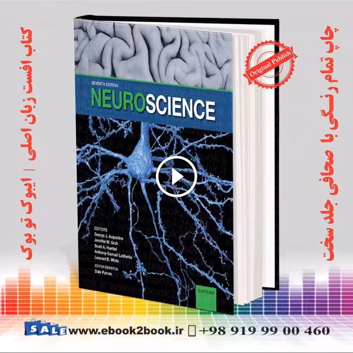 Neuroscience 7th Edition Purves
