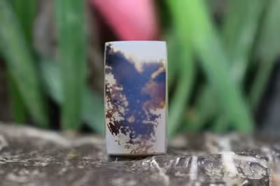 عقیق شجر هند