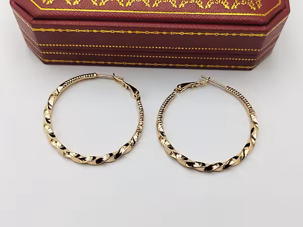 گوشواره ژوپینگ حلقه ای کد B0126