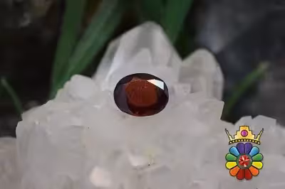 گارنت هسونیت