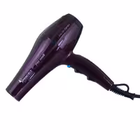 سشوار پرنسلی مدل pr 250