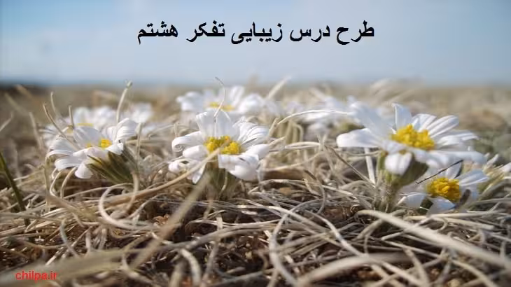 طرح درس زیبایی تفکر هشتم - چیلپا
