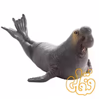 فیگور فیل دریایی موجو Sea Elephant 387208