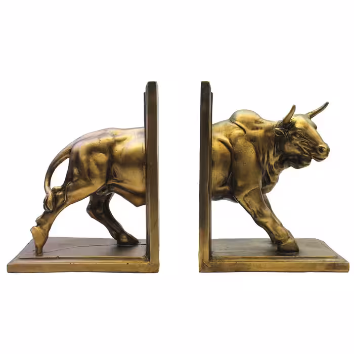 نگهدارنده کتاب کدh.g-011 مجموعه دو عددی