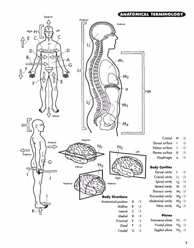 خرید و دانلود نسخه کامل کتاب Anatomy Coloring Workbook