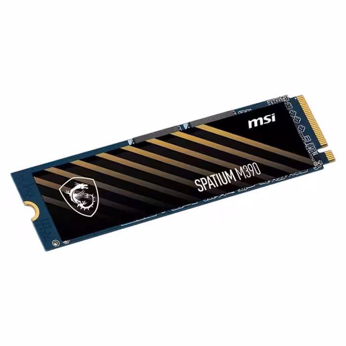 اس اس دی اینترنال SPATIUM M390 NVMe M2 250GB