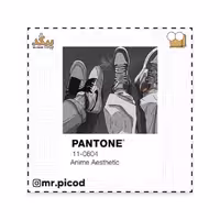 استیکر مستر پیکد طرح PANTONE کد PCD-ST1356