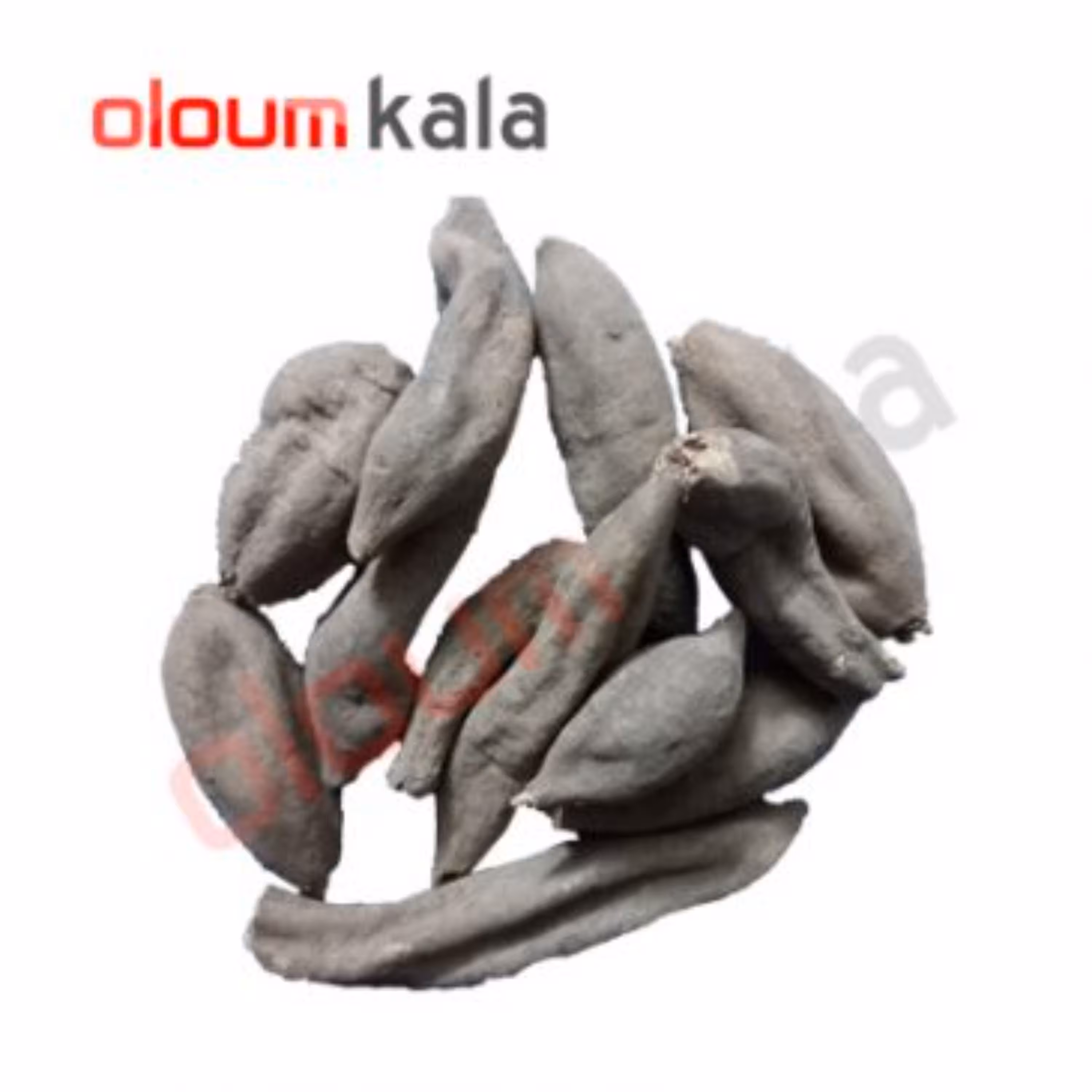 عود صلیب یا فاوانیا اصل(50 گرمی)