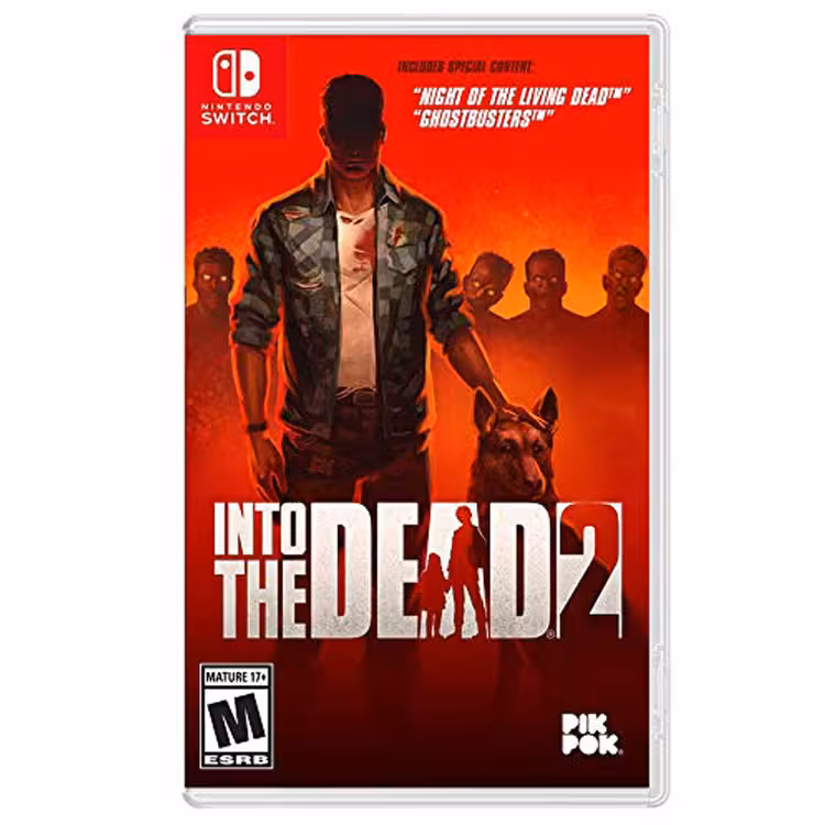 Into the Dead 2 – Nintendo Switch – کارکرده