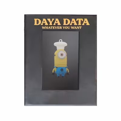 فلش مموری دایا دیتا طرح مینیون آشپز مدل PC1011 ظرفیت 32 گیگابایت