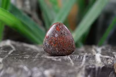 فسیل استخوان دایناسور