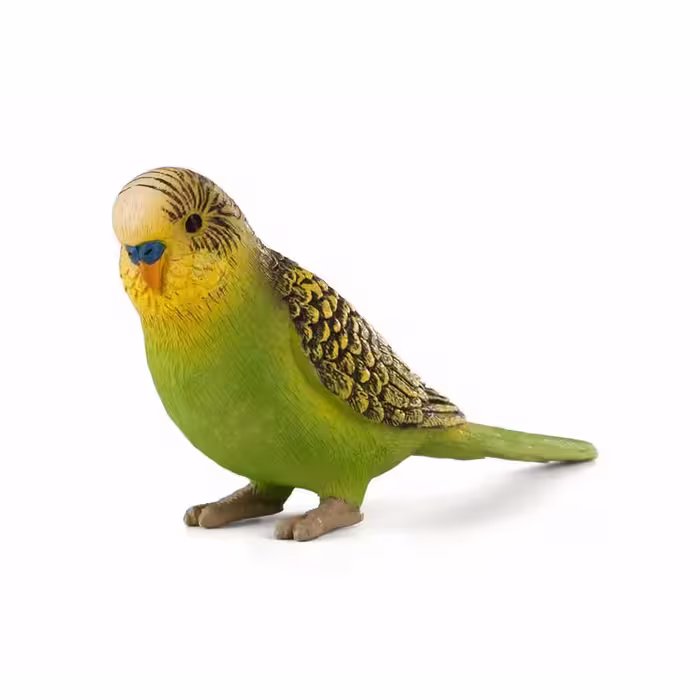 خرید فیگور مرغ عشق سبز Budgerigar green figure MOJO