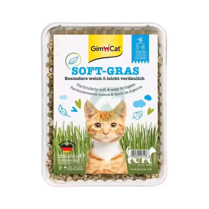 علف گربه مدل Soft Gras برند GimCat جیم کت 100 گرمی
