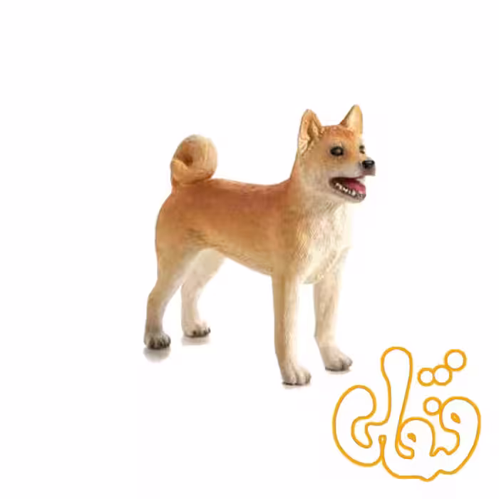 سگ شیبا اینو Shiba Inu 387140