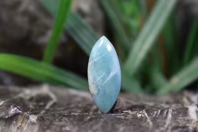 لاریمار اصلی