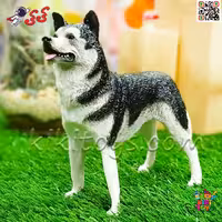 فیگور حیوانات ماکت سگ هاسکی اسباب بازی 1051 Husky fiqure