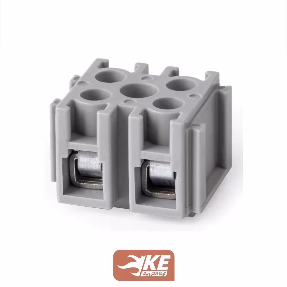 ترمینال زوجی سایز 2.5 رعد مدل RMT2.5