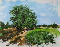 تابستان و درخت توت