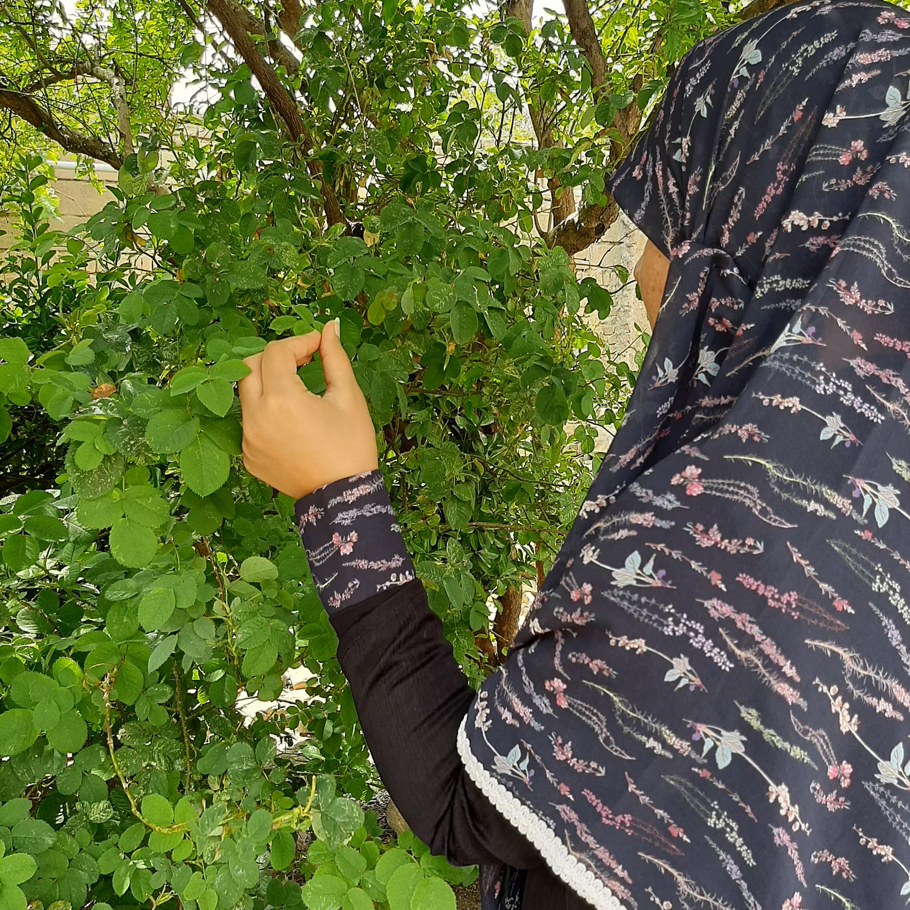 ساق دست و روسری