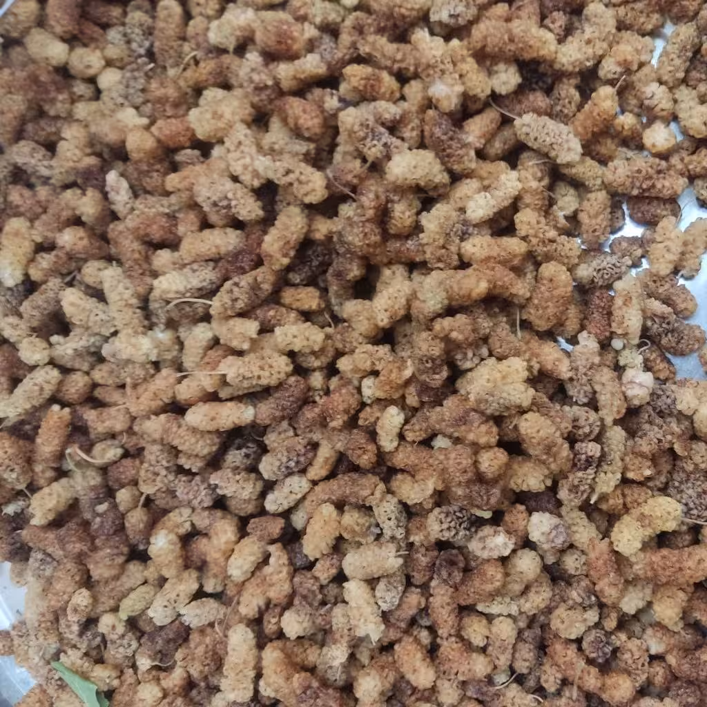 توت سفید خشک ارگانیگ و طبیعی درجه2