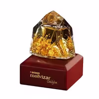 عطر ادکلن Ramon Molvizar Goldskin