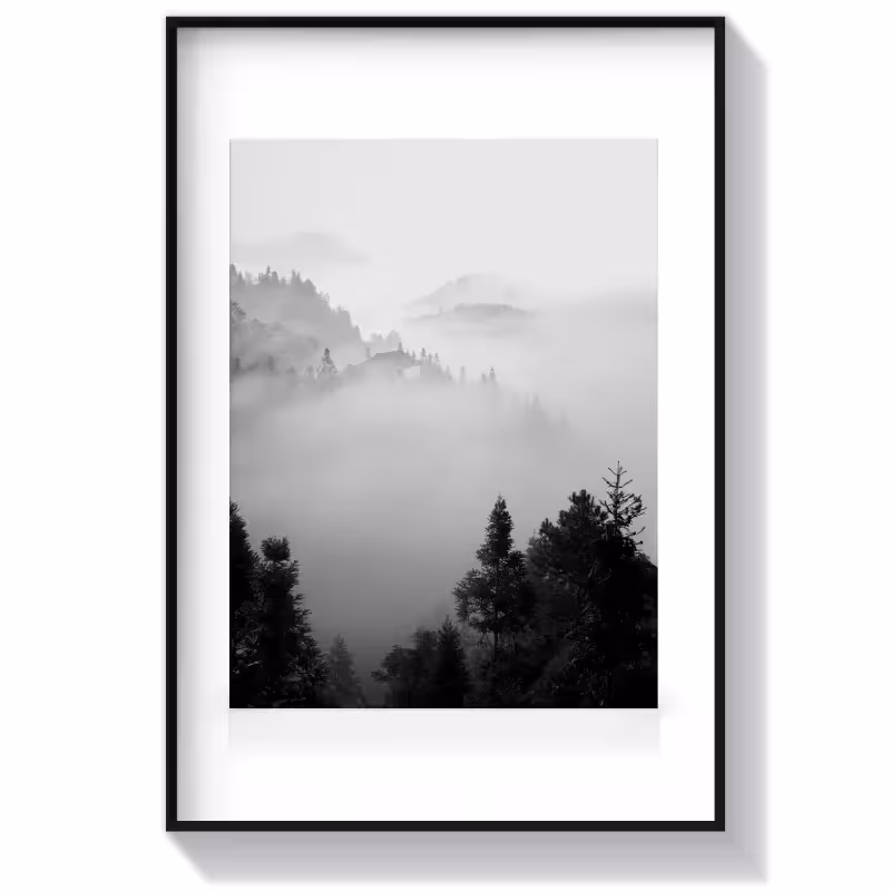 تابلو سیاه سفید طرح The Morning Mist