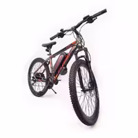 دوچرخه برقی بهین موتور - فلش - 500 وات - 26 اینچ