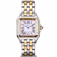 ساعت مردانه کارتیه Cartier Panthere SGW
