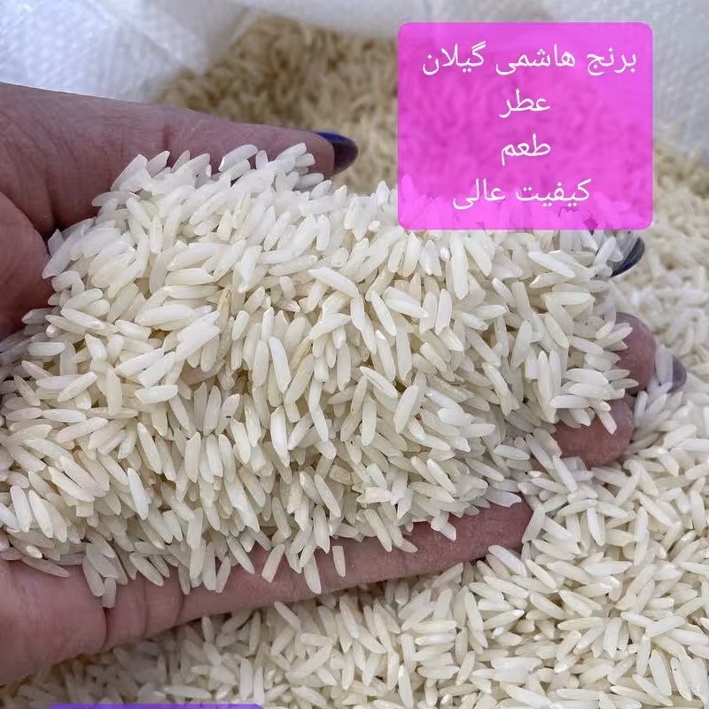 برنج هاشمی درجه 1 گیلان(1کیلو)
